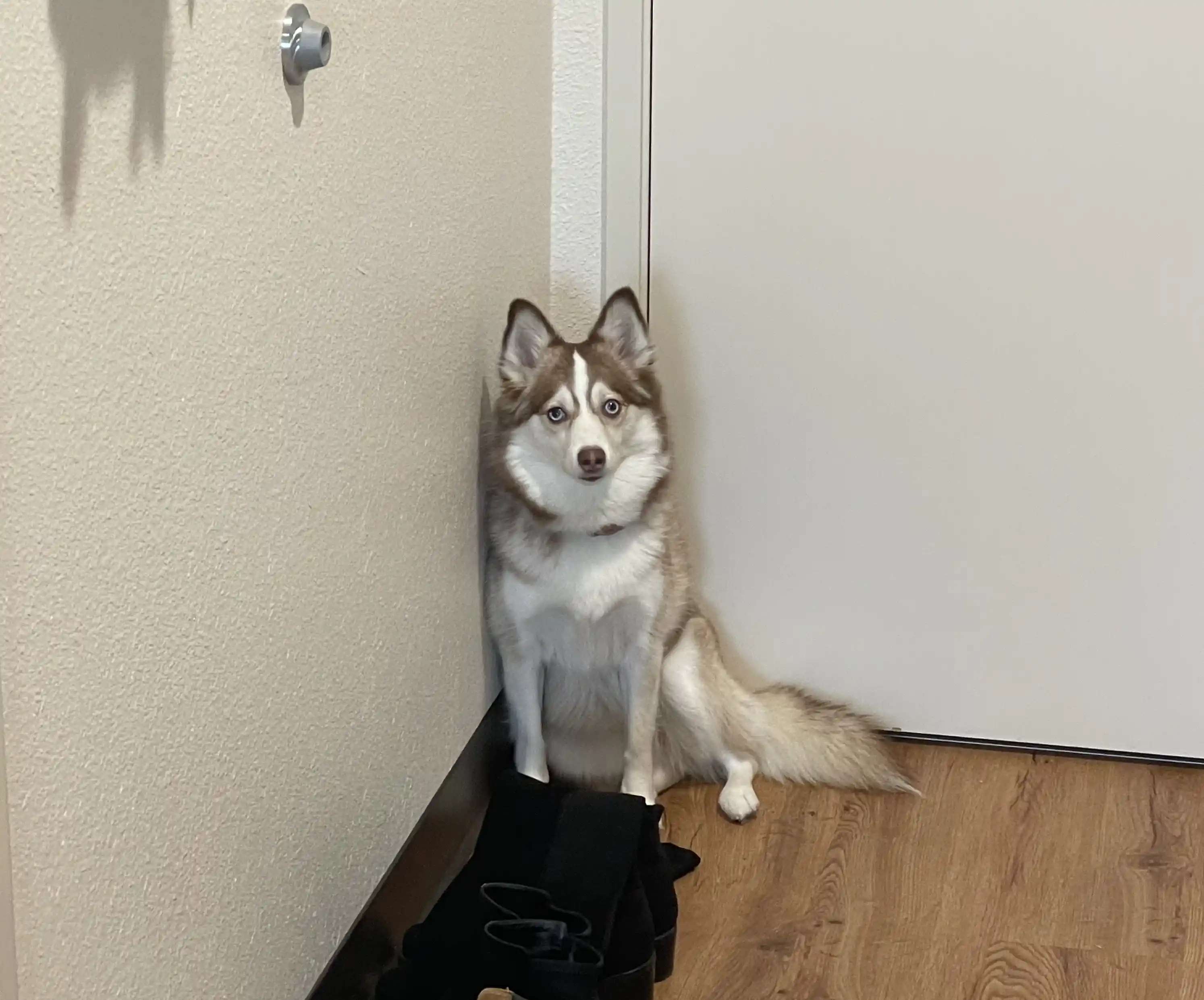 Good photo example - full body